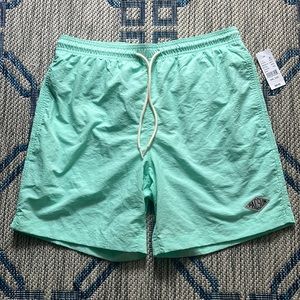 PacSun Mint Swim Shorts